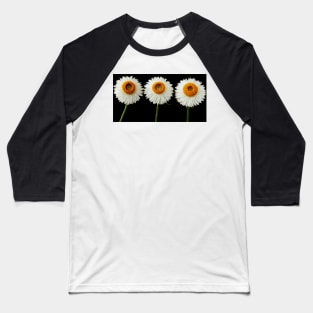 Helichrysum bracteatum  &#39;Nevada White&#39;  Everlasting flower Baseball T-Shirt